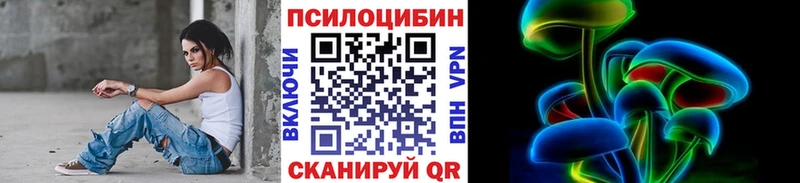 MEGA ссылки где продают наркотики Судогда Псилоцибиновые грибы ЛСД